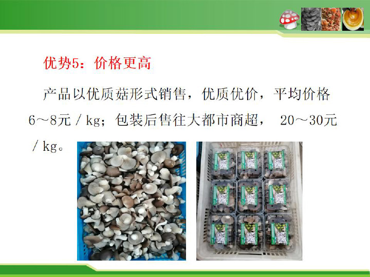 食用菌栽培料瞬時爆破滅菌新技術(shù)及平菇栽培應(yīng)用-13.jpg